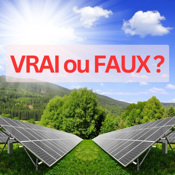 vrai-faux